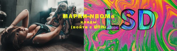 не бодяженный Горно-Алтайск