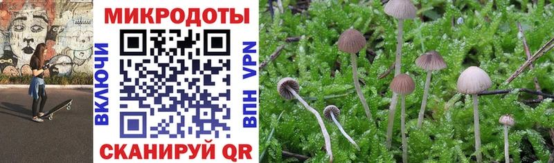 Псилоцибиновые грибы Cubensis Железногорск