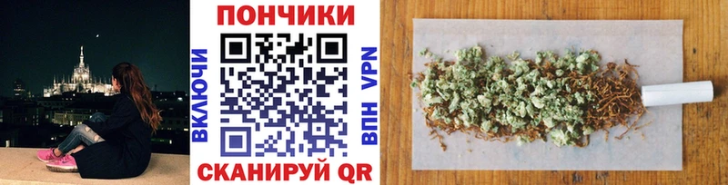 Шишки марихуана сатива  Железногорск 